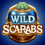 wild scarabs